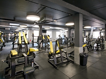 fitness