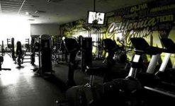 CALIFORNIA GYM - Photo 2