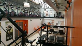 GOFITNESS - Photo 5