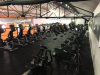 GOFITNESS - Photo 9