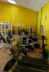 JUNGLEGYM - Photo 4