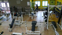 JUNGLEGYM - Photo 2