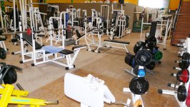 JUNGLEGYM - Photo 3