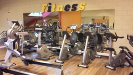 BODY FORCE - Photo 5