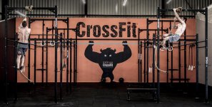 CROSSFIT LXXXIII - Photo 1