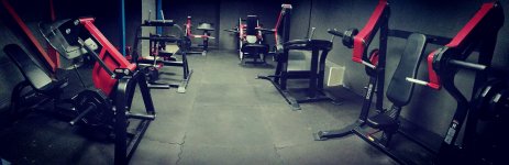 OPTIMUM GYM - Photo 7