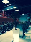 BE SPORT BE FREE - Photo 5