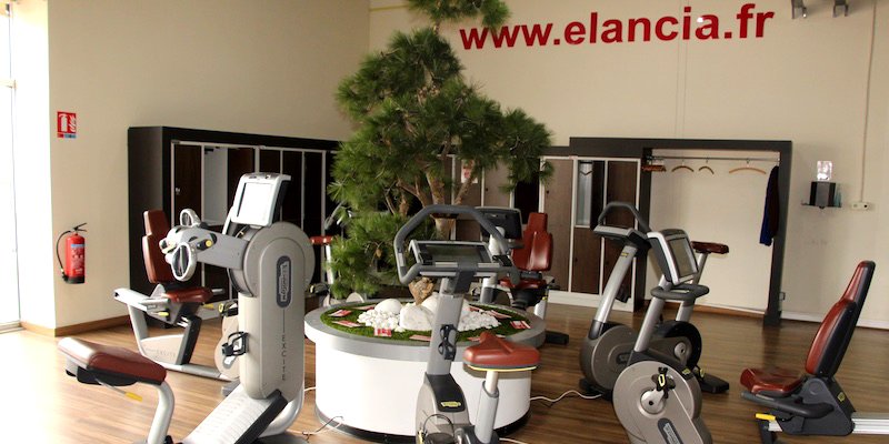 ELANCIA - Limoges