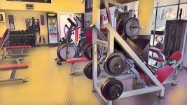 PACIFIC GYM - Photo 8