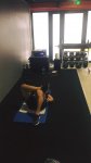 GO FITNESS - Photo 3