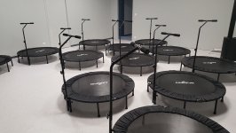 ALPHA FITNESS - Photo 6