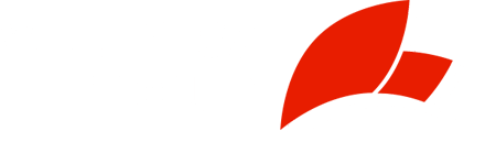 WELLNESS FIT CLUB